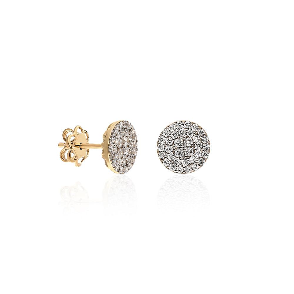 Earrings ANQ-1-KP0191