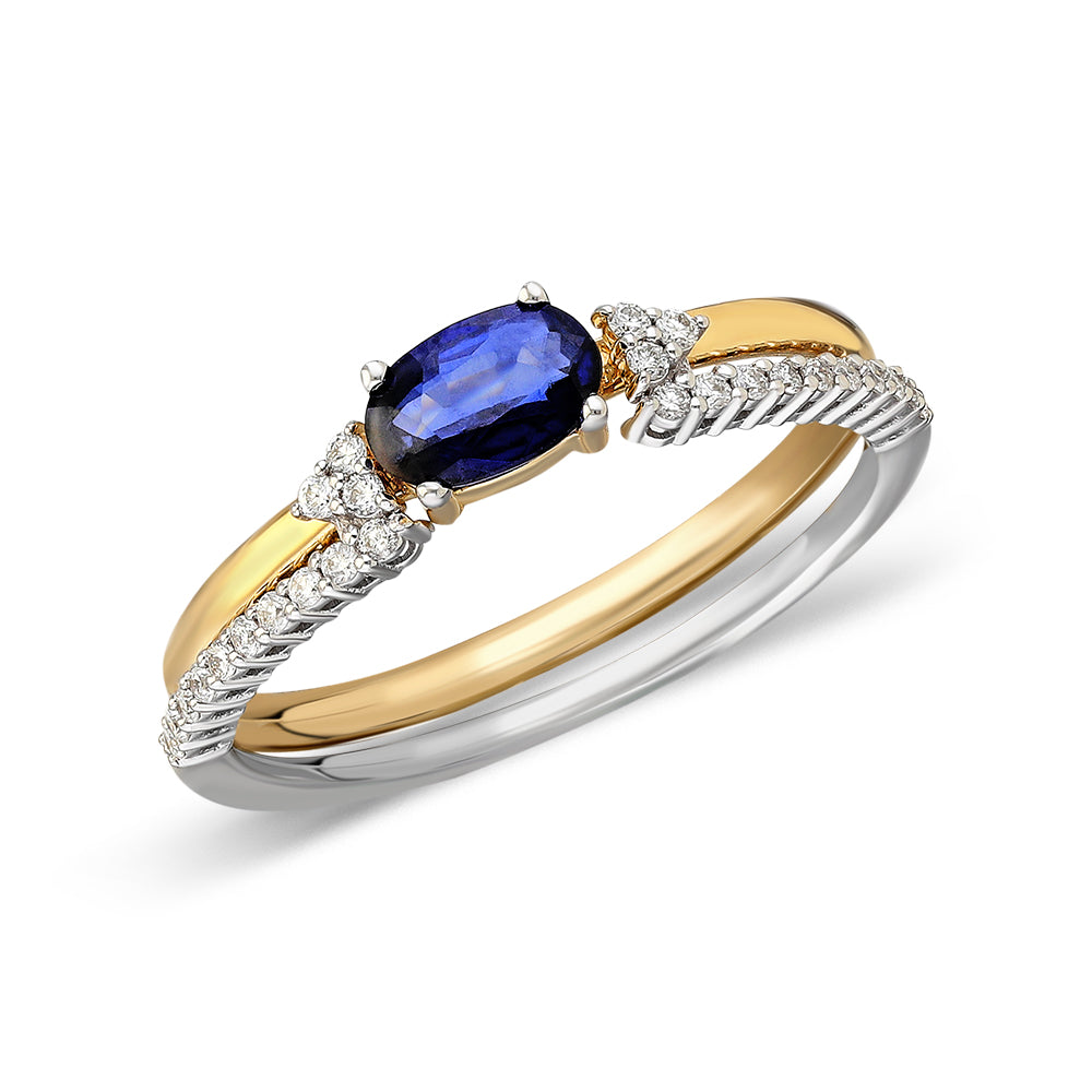 Double ring TWN-YZ0010