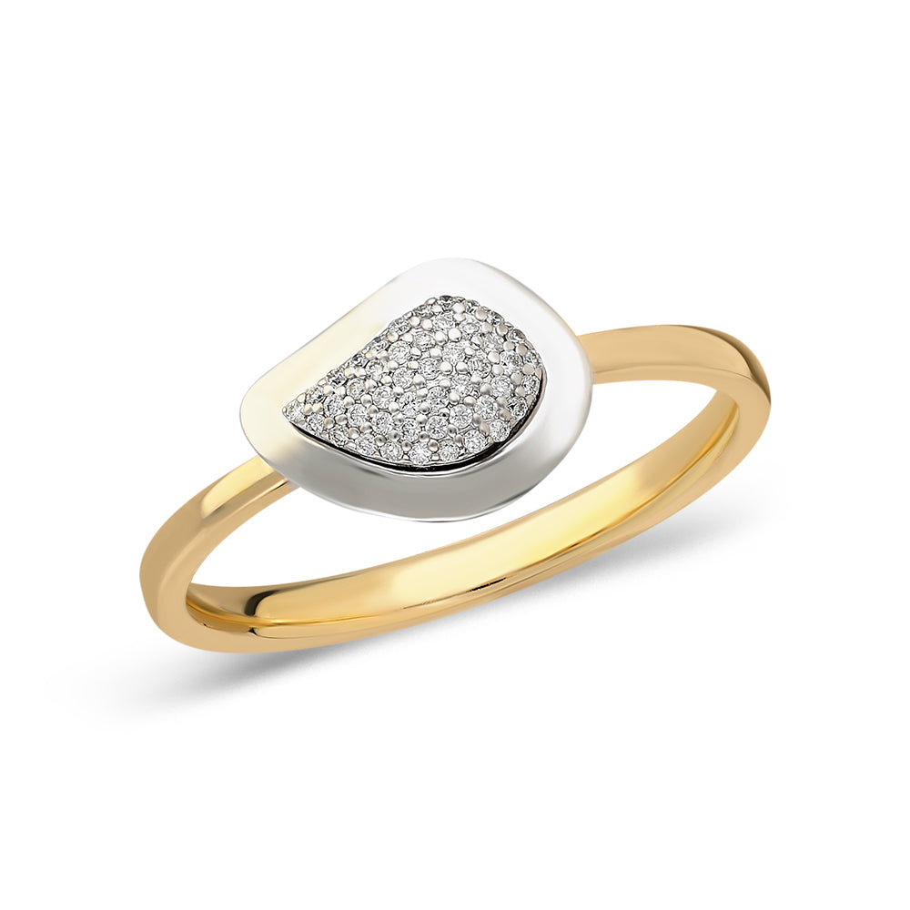 Ring WLE-1-YZ0287