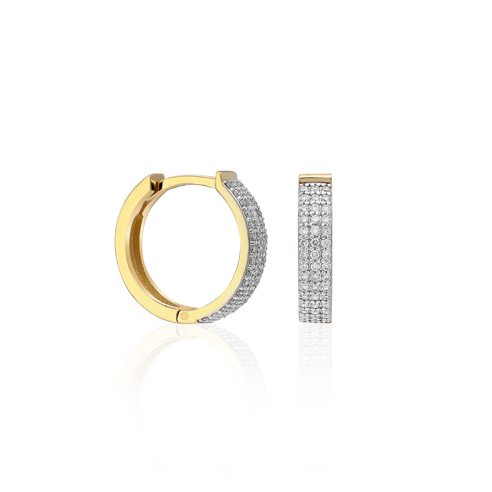 Earrings ANQ-1-KP0280