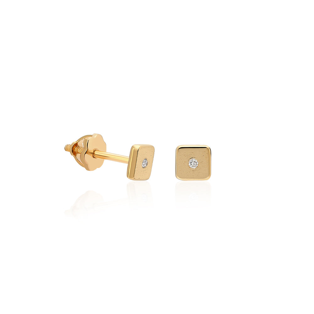 Earrings WLE-1-KP0262