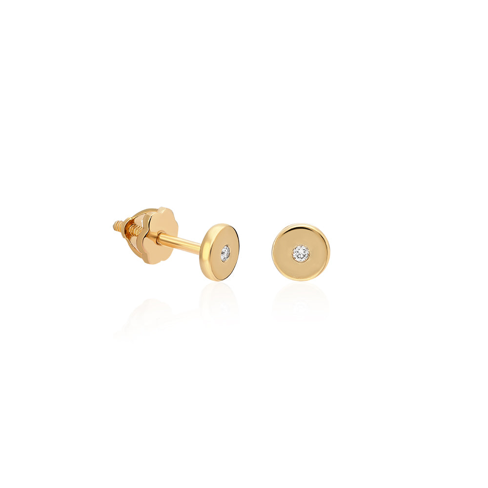 Earrings WLE-1-KP0263