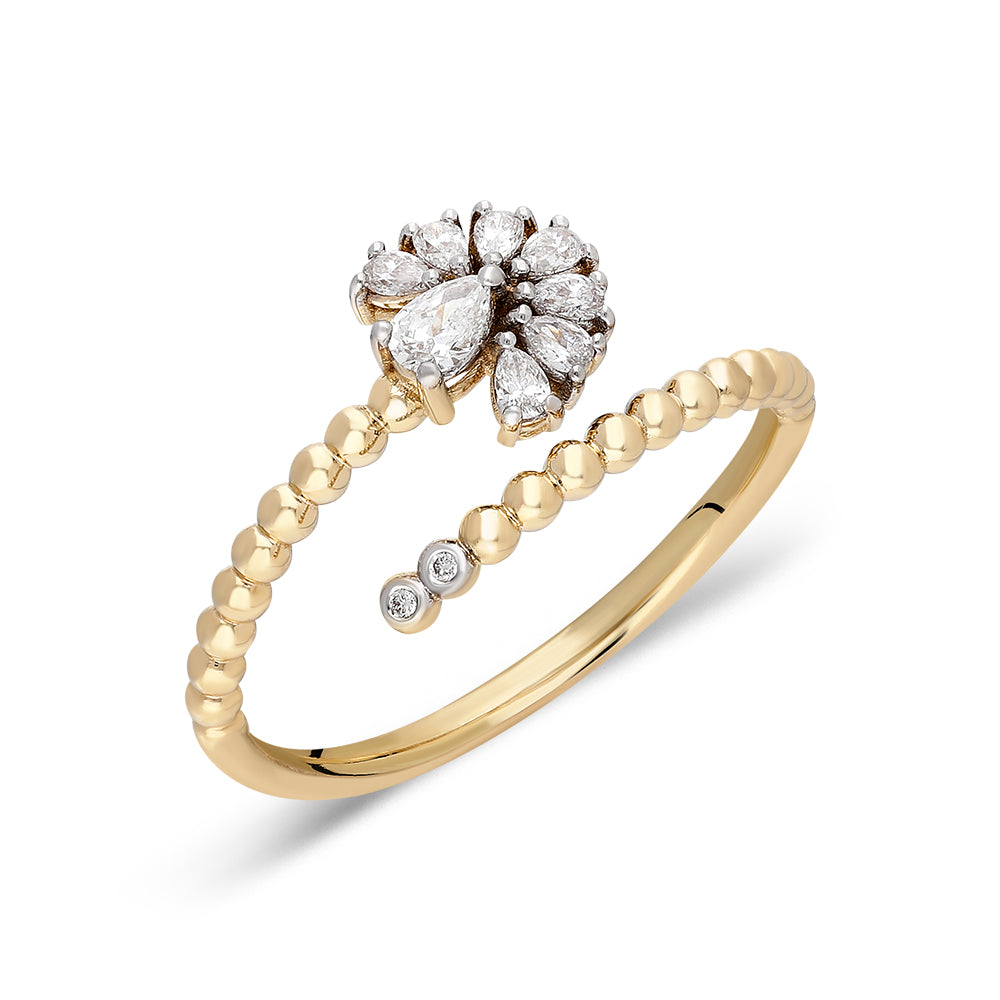 Ring WLE-1-YZ0045