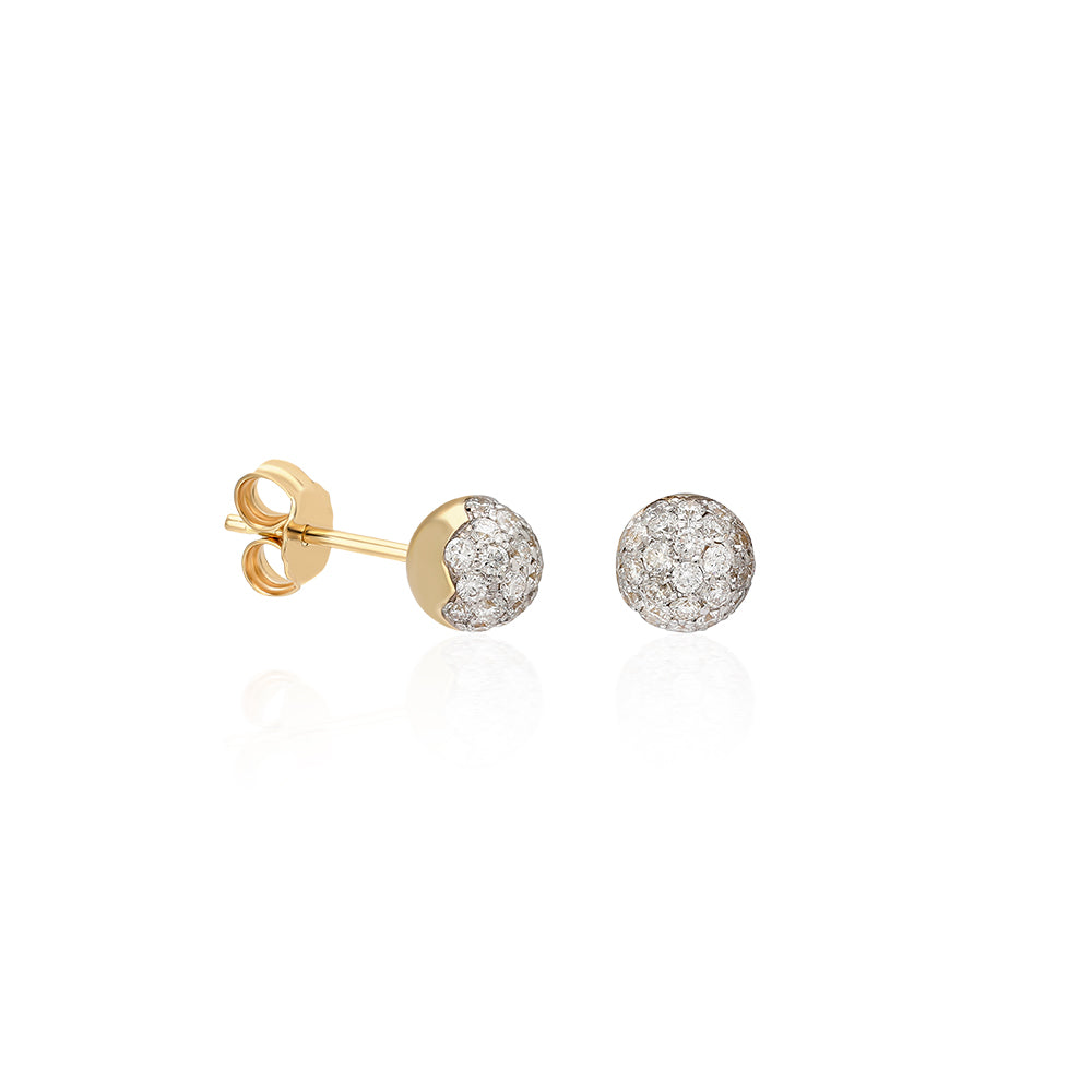 Earrings WLE-KP0005